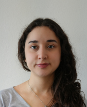Portrait Photo