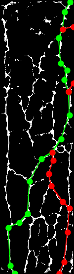 Sample of PLUSVein-FR (Extracted MC Features) - Rotation Angle: -30°